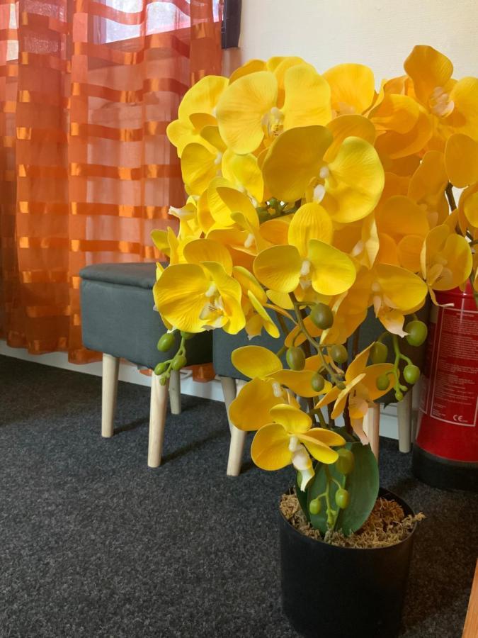 Skogsvikens Hotell Kolmården Dış mekan fotoğraf